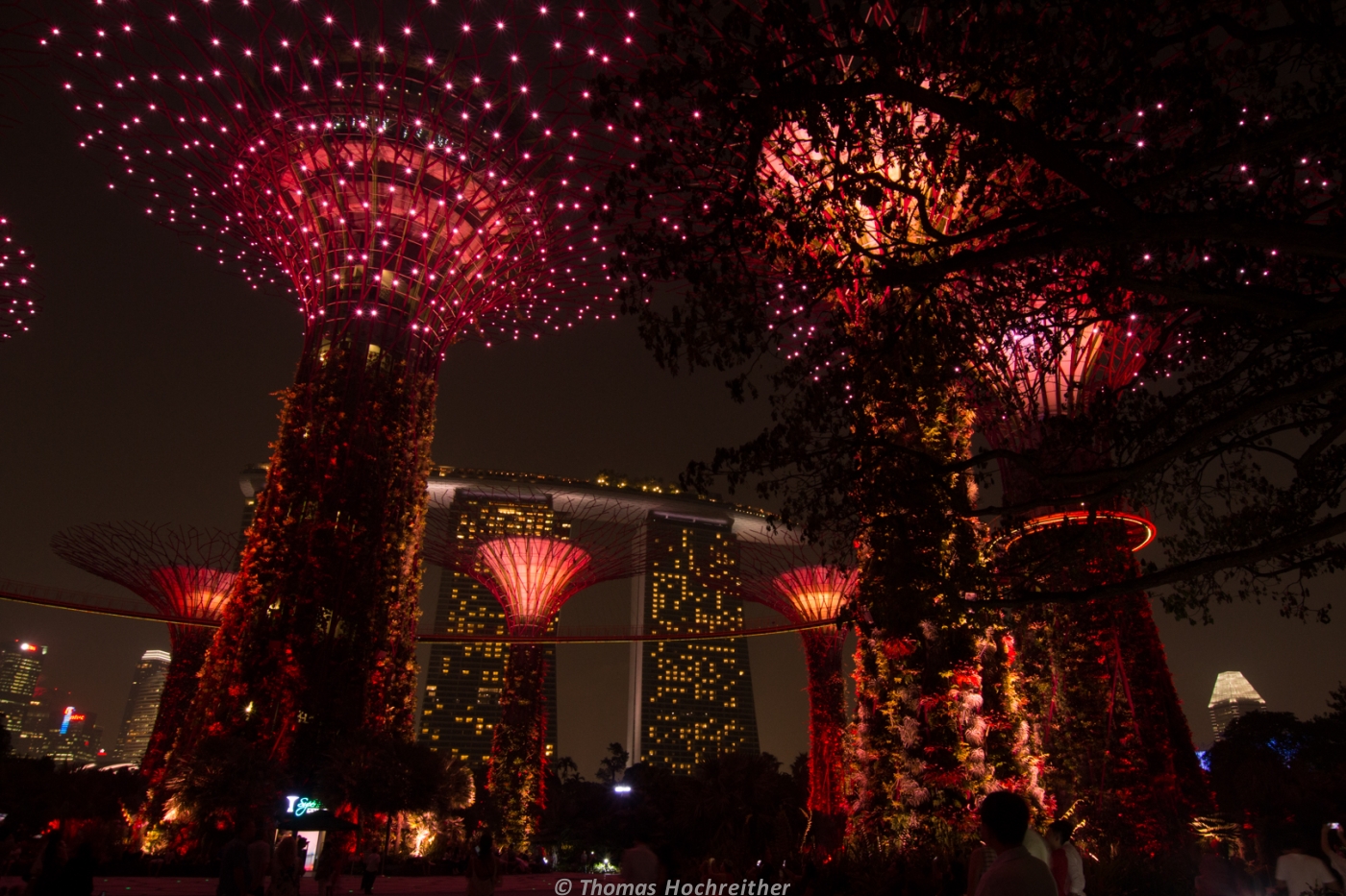 Supertrees im Gardens by the Bay, Singapur